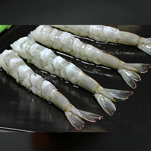 Frozen White Shrimp - Nobashi - 26/30 Shrimps per lb.