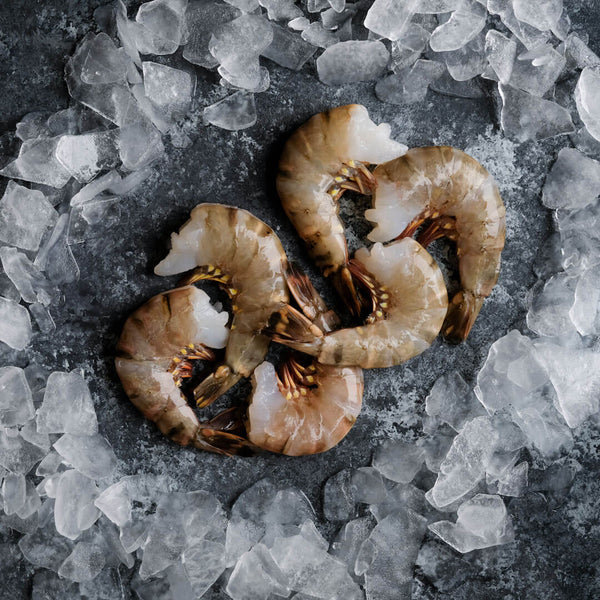 Frozen Black Tiger Shrimp - Easy Peel - 8/12 Shrimps per lb.